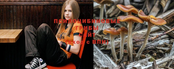 кокаин колумбия Алексеевка