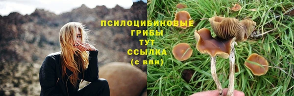 герыч Алзамай