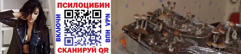 Псилоцибиновые грибы ЛСД  блэк спрут   Байкальск 